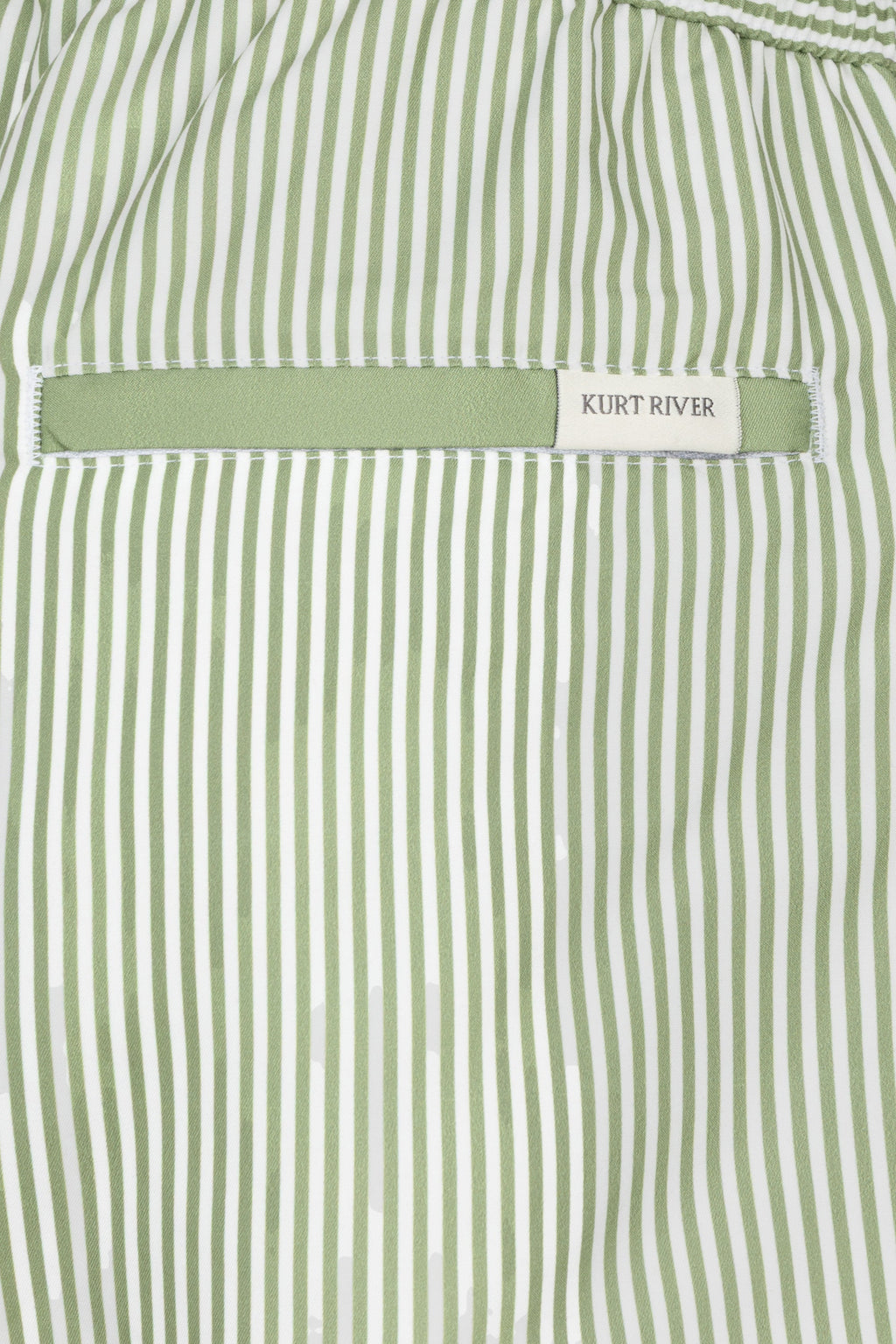 Green Striped Swim Short