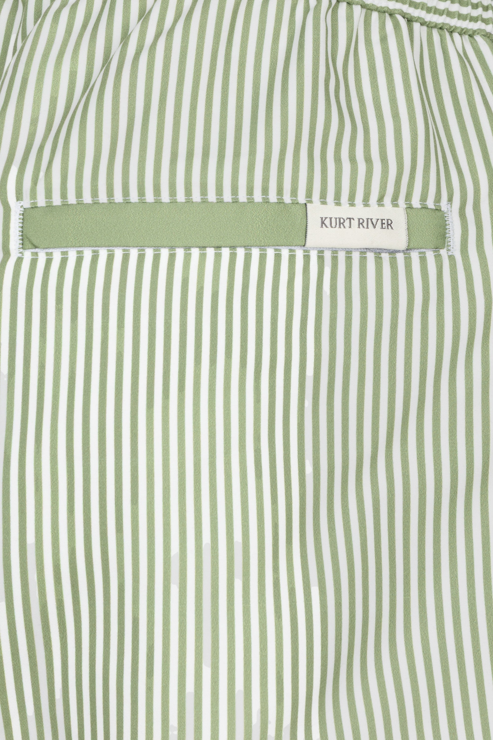 Green Striped Swim Short